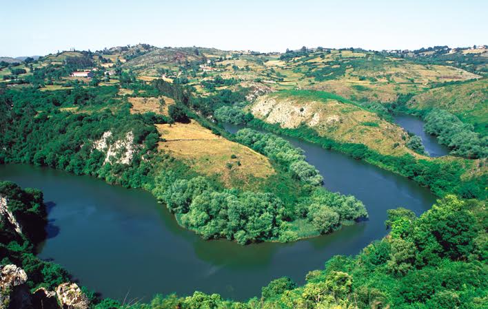 Asturias. El estudio de los Meandros del Nora detecta 137 especies animales en la zona