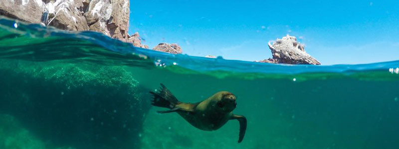 Parque Nacional Archipiélago de Espíritu Santo