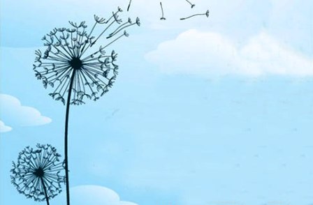 2012 un año medioambientalmente para olvidar