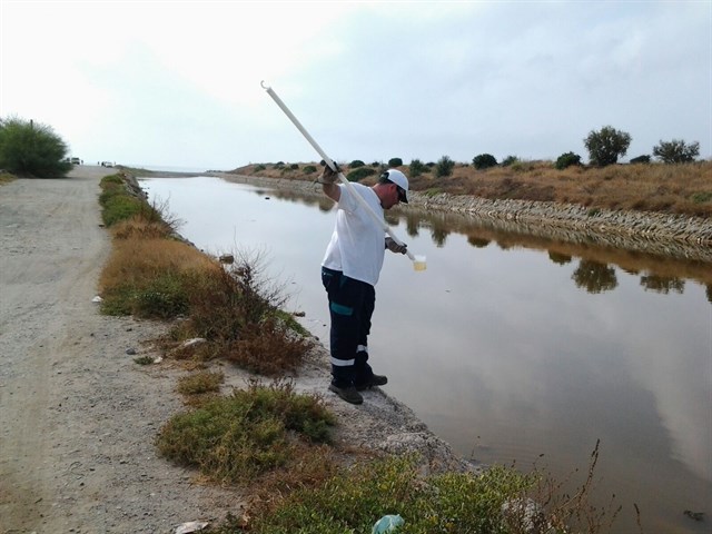Ayuntamiento de Málaga contrata el plan extraordinario de actuación contra los mosquitos en el entorno del Guadalhorce