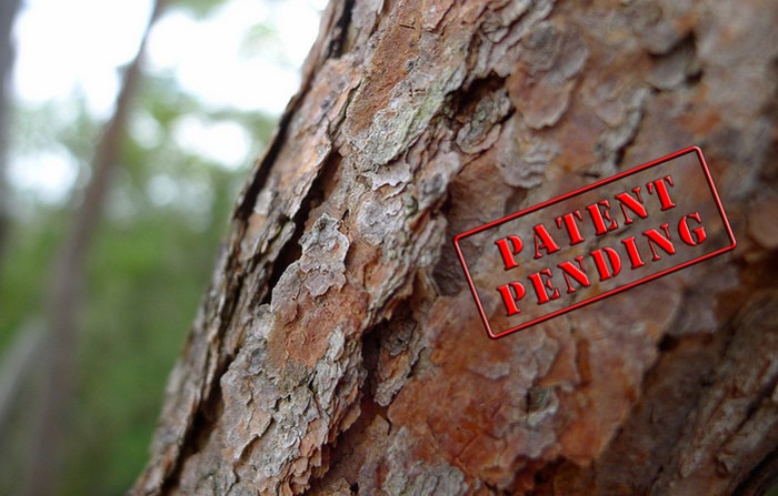 Árboles genéticamente modificados: salvar especies o destruir el Medio Ambiente