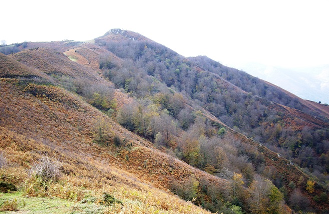 Asturias. En plena crisis carbonera