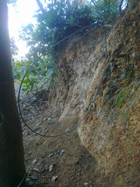 Pillado in fraganti un furtivo en Cataluña que utilizaba trampas ilegales para cazar animales