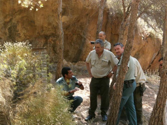 Reabren al público el parque de Castala sin haber capturado al gran felino negro
