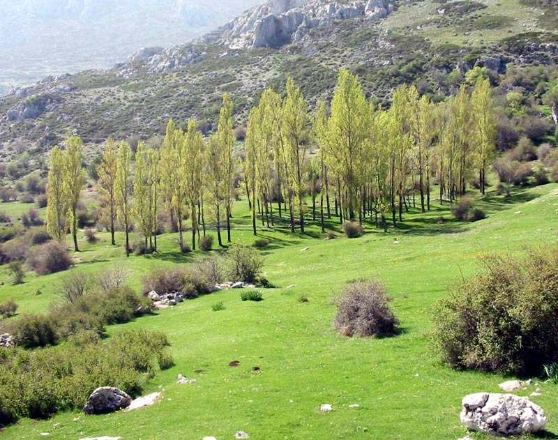 Cataluña. El CREAF y el Parque Natural de la Sierra de Collserola firman una alianza estratégica para consolidar una estación mixta de investigación y gestión del medio natural