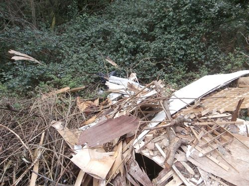 La denuncia de Europa por los vertederos era previsible ante una situación de ‘caos’ total