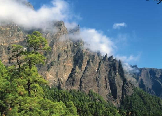 El Cabildo impulsará la Reserva de la Biosfera de Gran Canaria