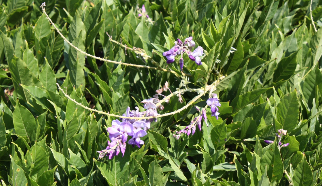 En medio ambiente no se gasta