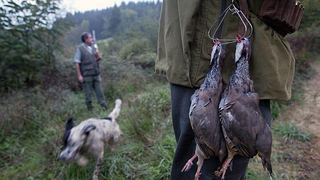 Denuncian el anteproyecto de Ley de Caza de Castilla –La Mancha