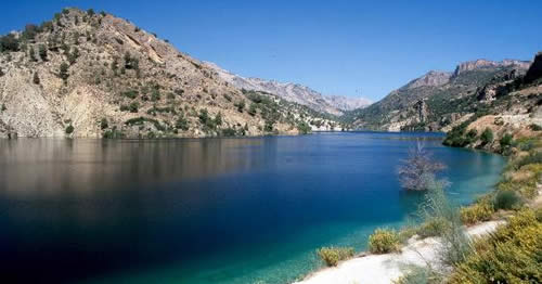 Impulsan un plan contra el uso del veneno en la Sierra de Castril y entorno