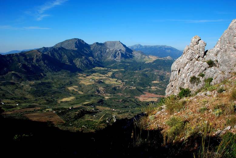 Nuevas ‘Zonas Especiales de Conservación de Red Natura 2000’ en tres provincias andaluzas