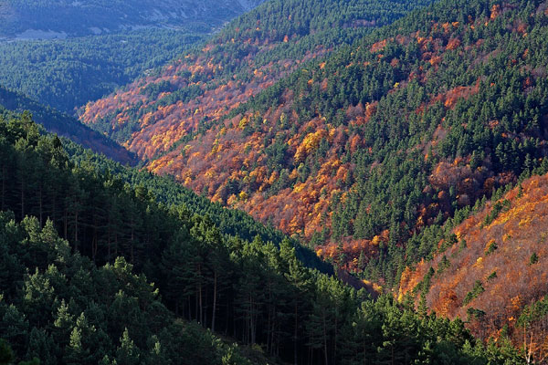 La Rioja publica el mapa topográfico del Parque Natural de la Sierra de Cebollera