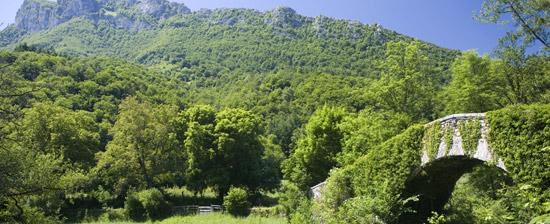 Más de la cuarta parte del territorio español está dedicada a la conservación de la naturaleza