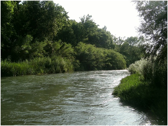 La Fundación Aguas de Valencia aumenta su acción voluntaria en la Ribera del Túria