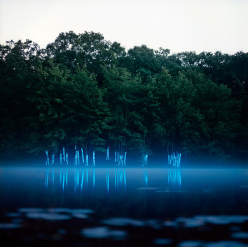 En la Navidad dèmosle mil gracias a la Naturaleza