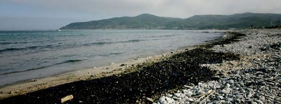 Galicia activará el Plan de Contingencia para evitar la contaminación litoral por los incendios