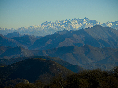El MARM licita en 125.000 euros el servicio de seguimiento de poblaciones de cánidos en Picos de Europa