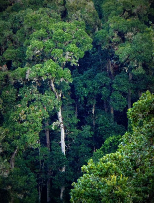 Un millón de dólares disponibles para proyectos de conservación