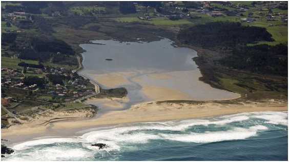 Te consideras un defensor del medioambiente Demuéstralo