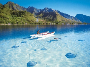 El ecoturismo está más de moda que nunca