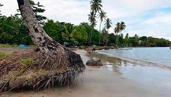 Países de la región discuten problemas de cambio climático