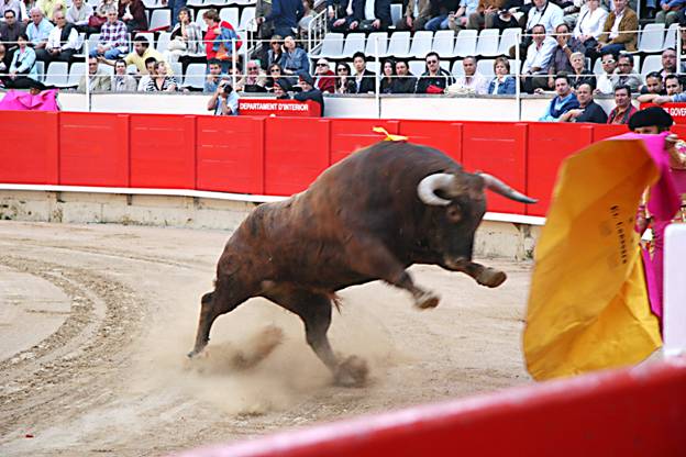 Galicia no prohibirá las corridas de toros