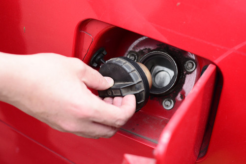 Descubren levaduras que "comen" gasolina