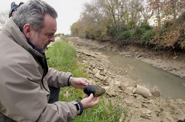 La CHE reedita su guía de campo sobre moluscos acuáticos de la Cuenca