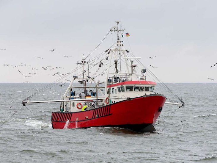 Cómo acaba el mercurio en el mar