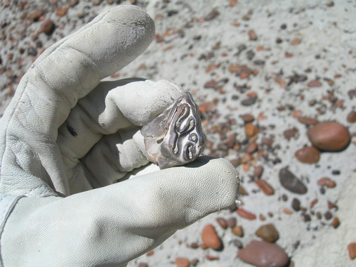 Estudian la evolución de la vegetación patagónica