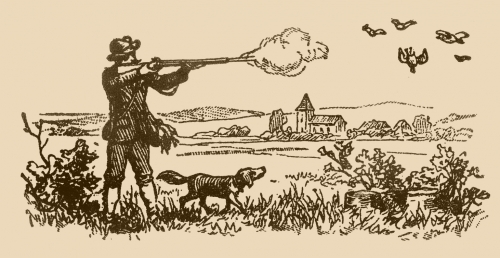 Cazadores:amigos o enemigos de la biodiversidad