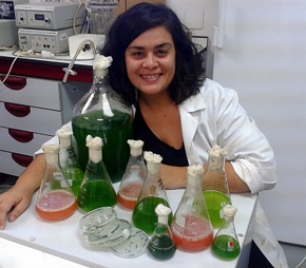 Microalgas para fabricar biodiesel