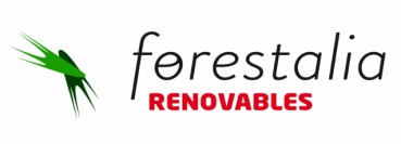 Forestalia se alía con GE para el desarrollo de los 1.500 MW conseguidos en las subastas