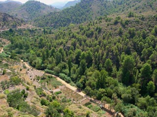 La adecuada gestión de los recursos forestales es ‘vital’ para la sostenibilidad de nuestros montes