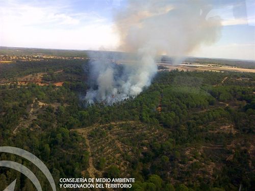 Andalucía. Declarado un incendio en una zona de pinar en Niebla (Huelva)