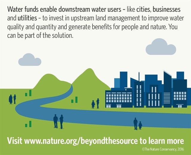 La protección forestal mejoraría el 80% de las ciudades