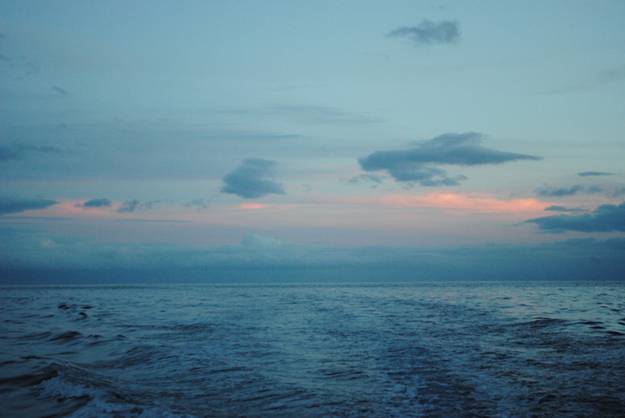 La UE sólo protege el 1% de los mares españoles