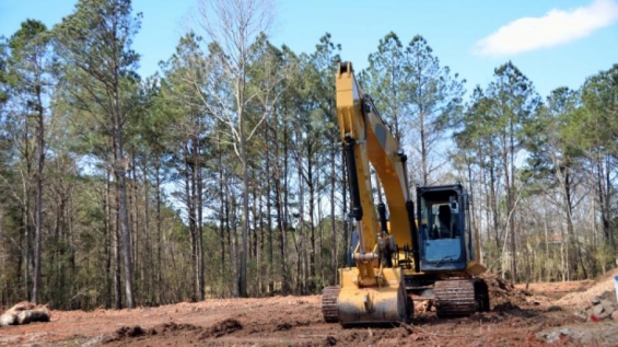Argentina: Están talando un bosque nativo en Córdoba para construir un canal