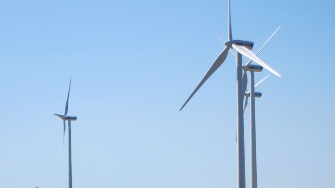 Ecologistas europeos evalúan la presidencia de Malta en la UE: "Buena en biodiversidad