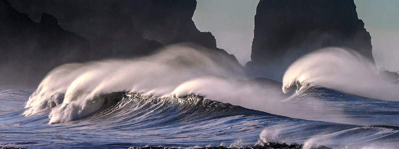 El frágil equilibrio ecológico de las costas de Yucatán