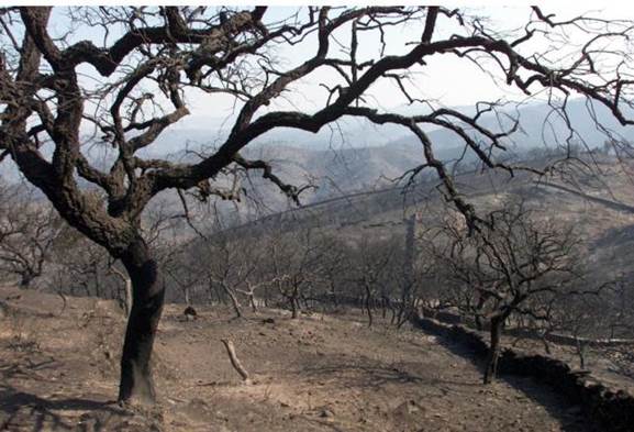 El incendio de Riotinto fulmino 35.000 hectáreas hace nueve años y ha quedado ‘impune’