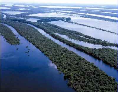 WWF considera que la nueva ley forestal de Brasil es un golpe mortal para el Amazonas
