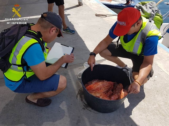 Incautan más de 100 kilos de pescado sin etiquetar en Alicante y la isla de Tabarca