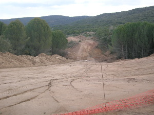 Declara como imputado el Ex Consejero de Medio Ambiente de La Comunidad de Madrid