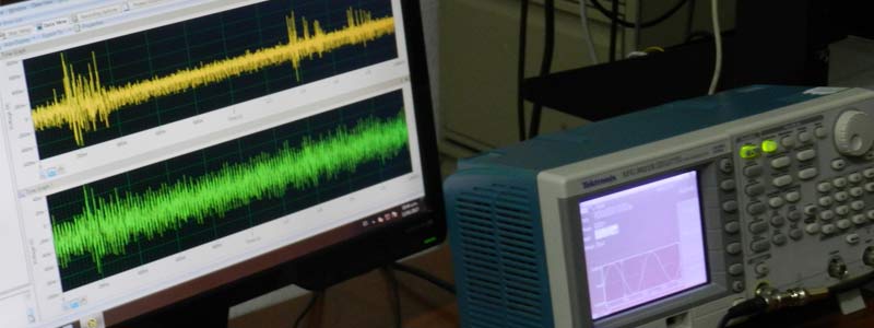 Estudian en la BUAP sensibilidad auditiva de invertebrados