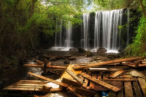 Cajacírculo convoca el IX Concurso Nacional de Fotografía y Medio Ambiente con la biodiversidad como temática