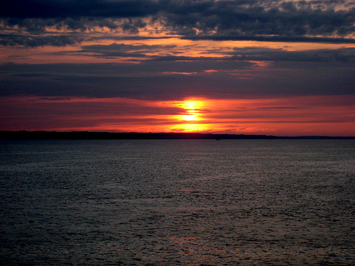 Por un Horizonte Sin Molinos registra 11.000 firmas en Diputación contra el parque eólico marino de Chipiona