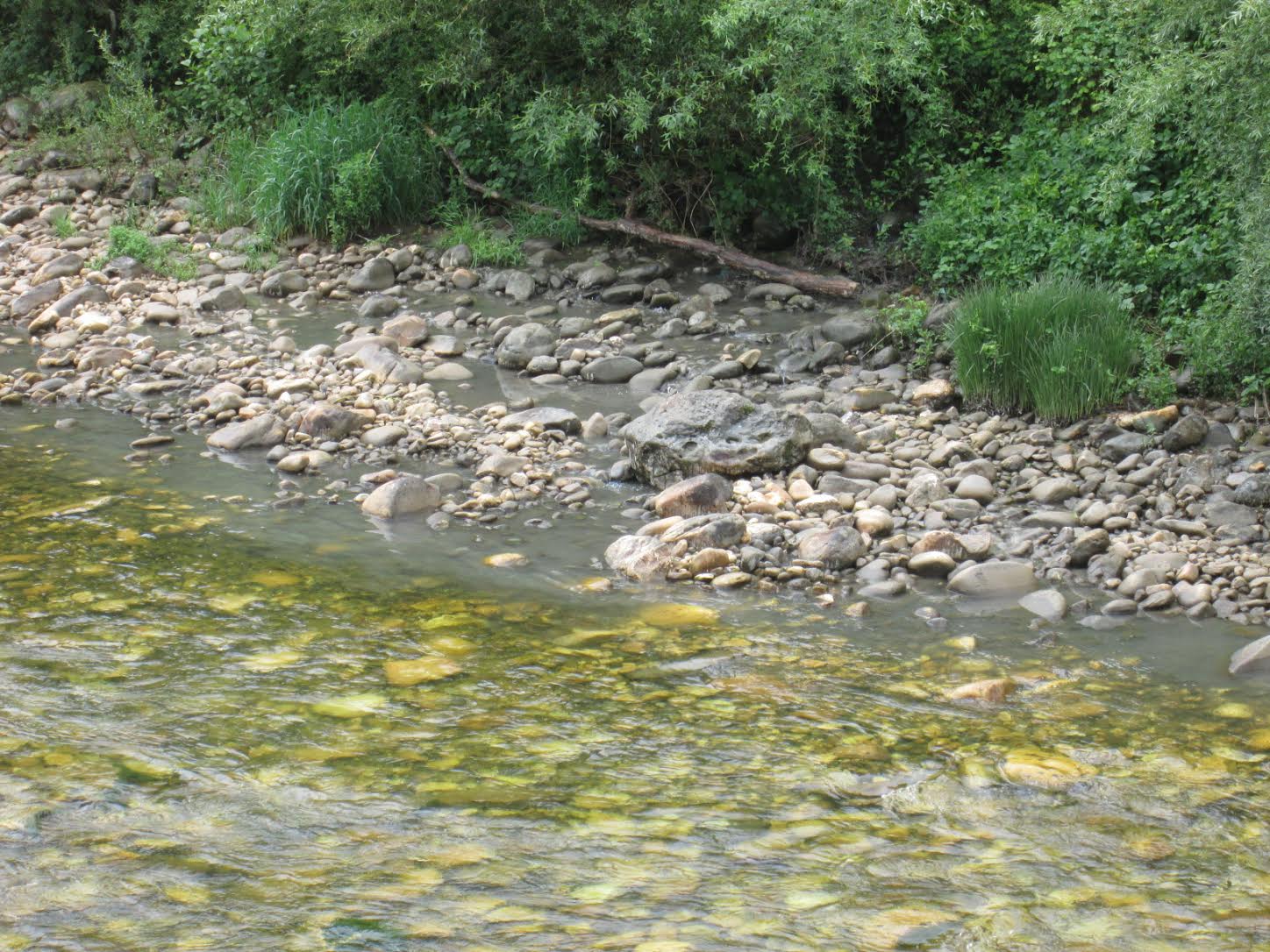 Principado de Asturias. Sancionan al Ayuntamiento de Laviana por vertidos al río Nalón