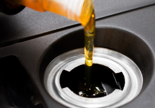 Redes neuronales artificiales para cuantificar el valor calórico de la biomasa