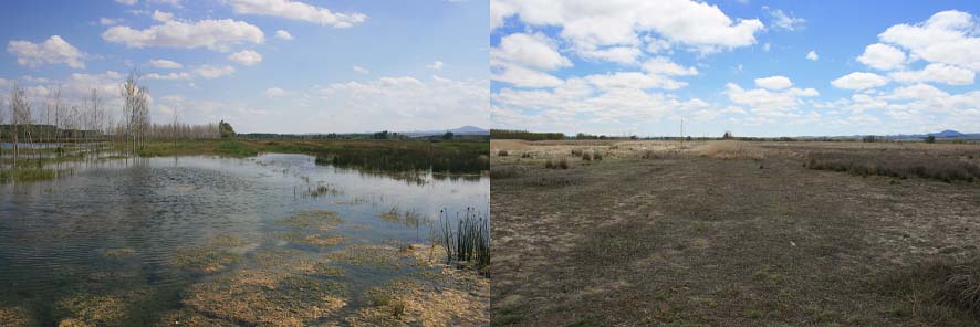 El proyecto de recuperación de la laguna del Cañizar en peligro